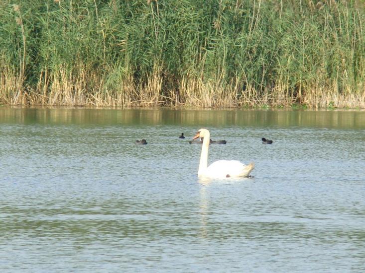 Матюші з panoramio.com - Матюши