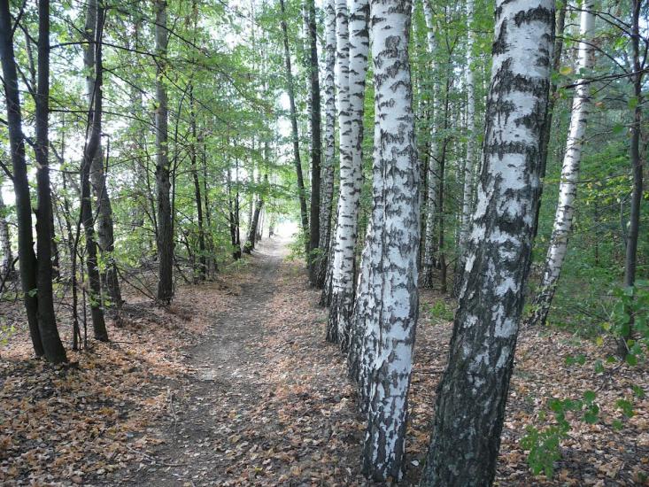 Ічня з panoramio.com - Ичня