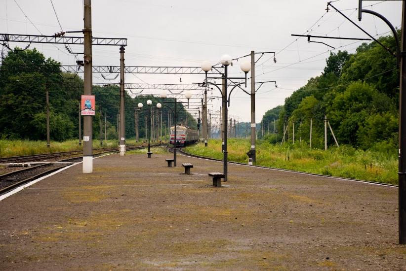 Лисиничі з panoramio.com - Лисиничі