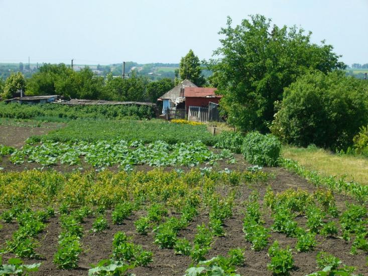 Аджамка з panoramio.com - Аджамка