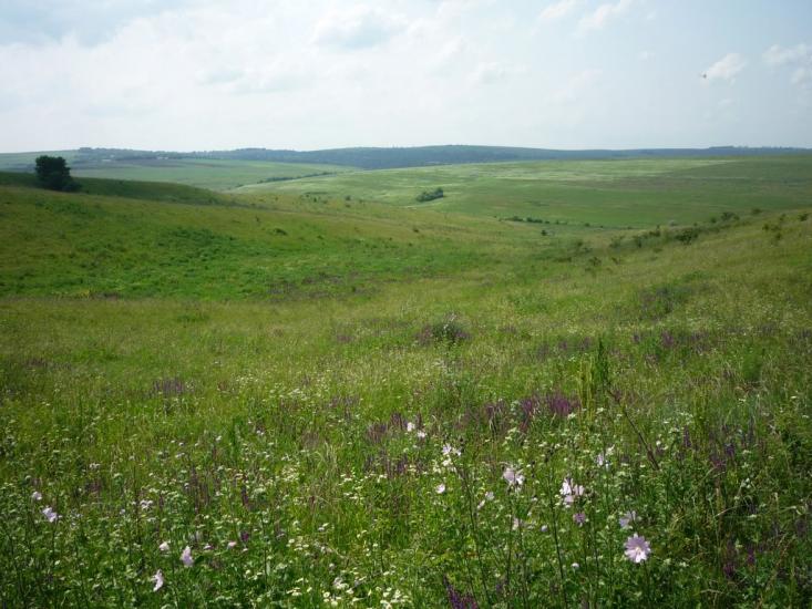 Ярівка з panoramio.com - Ярівка