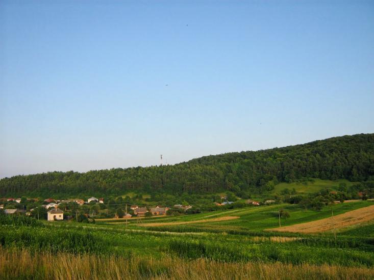 Лісники з panoramio.com - Лесники