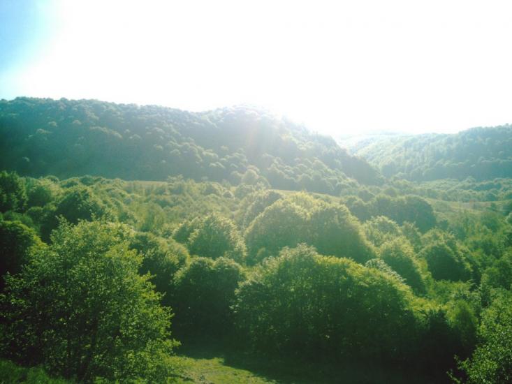 Яблунівка з panoramio.com - Яблоновка