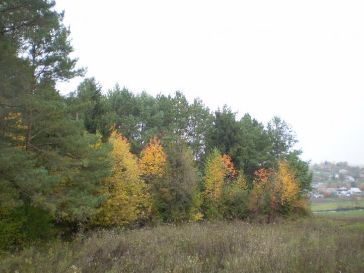 Пашківці з panoramio.com - Пашковцы