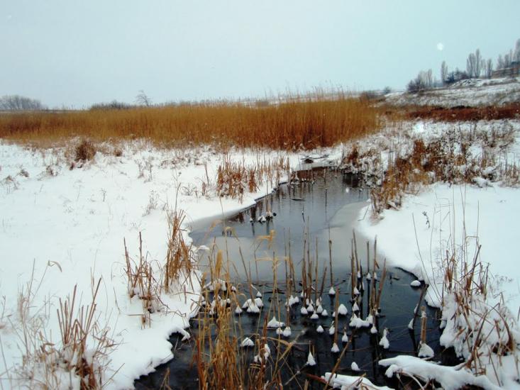 Пологи з panoramio.com - Пологи