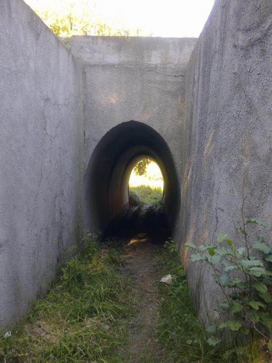 Довжик з panoramio.com - Довжик