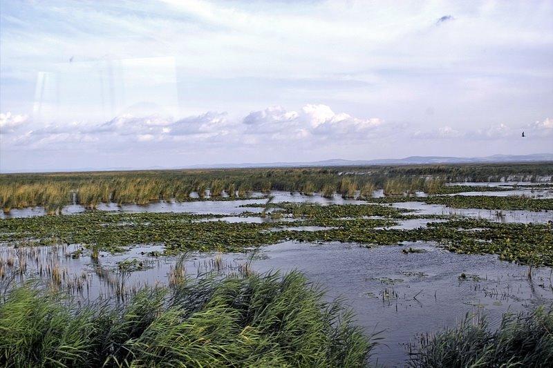 Новосільське з panoramio.com - Novosilske