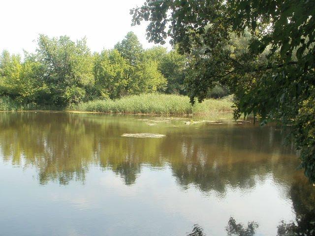 Піски-Радьківські з panoramio.com - Пески-Радьковские