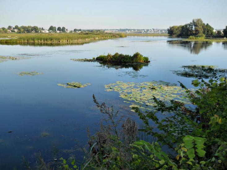Бар з panoramio.com - Bar
