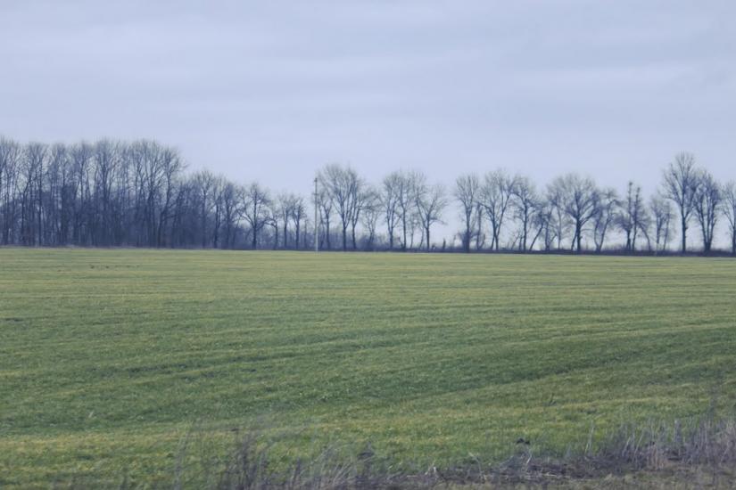 Мала Киріївка з panoramio.com - Малая Киреевка