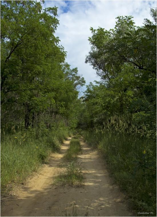 Балахівка з panoramio.com - Balakhivka