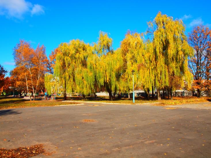 Черкаське з panoramio.com - Черкасское