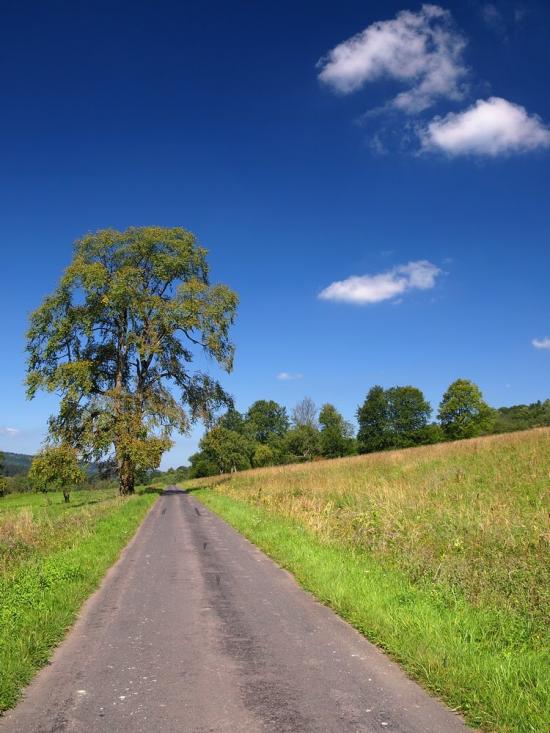 Катина з panoramio.com - Katyna
