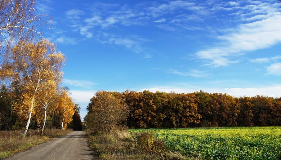 Борщівка з panoramio.com - Borschivka