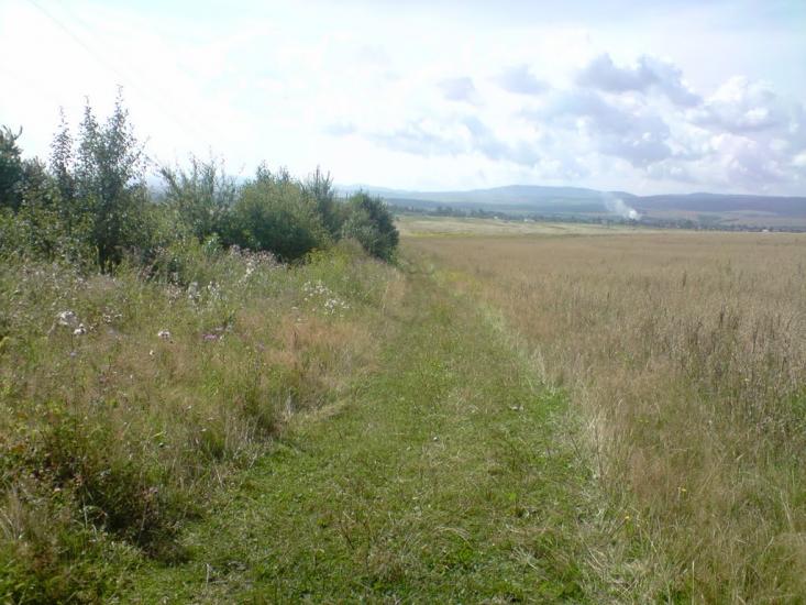 Скелівка з panoramio.com - Скелевка