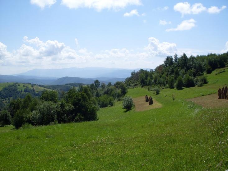 Вільшинки з panoramio.com - Вільшинки