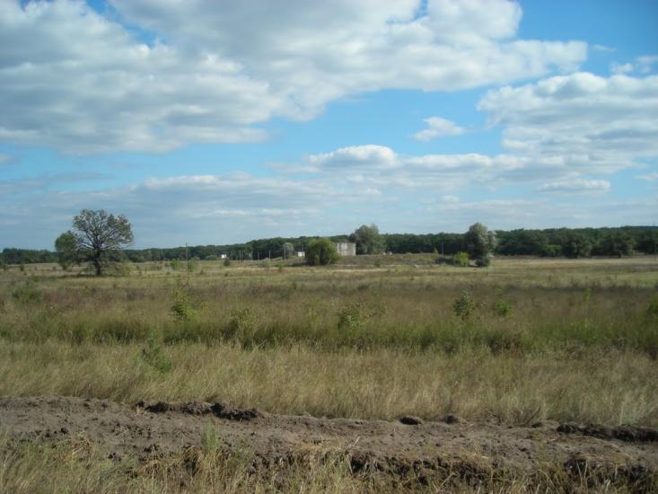 Синичине з panoramio.com - Синичине