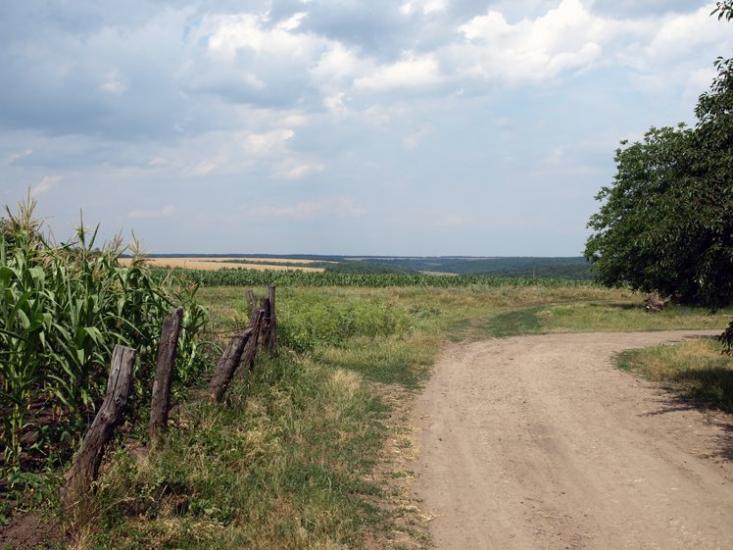 Жеребкове з panoramio.com - Жеребкове