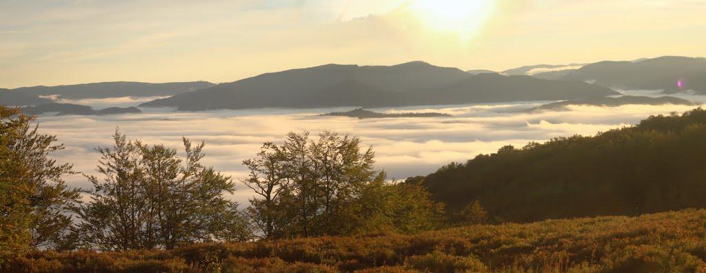 Потік з panoramio.com - Потік