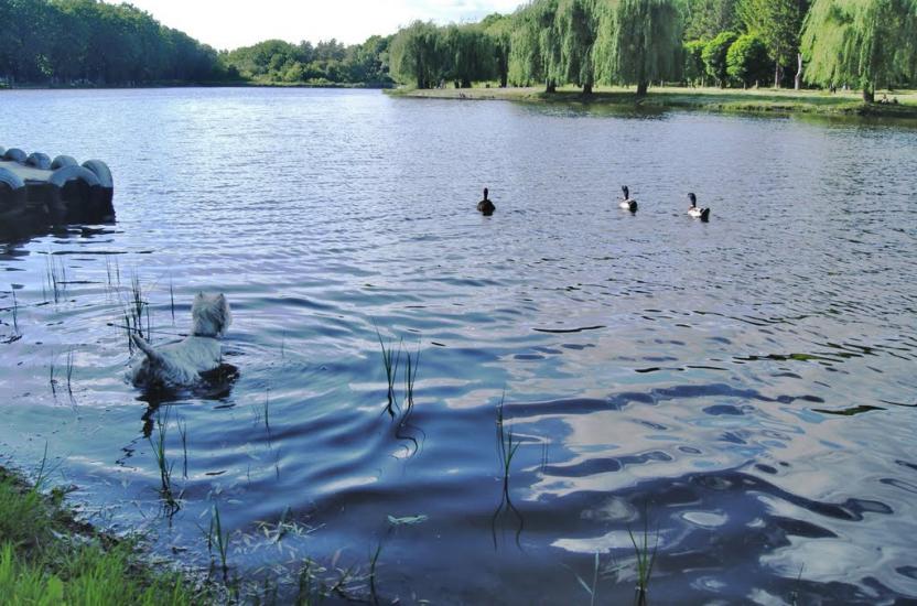 Комсомольський з panoramio.com - Графское