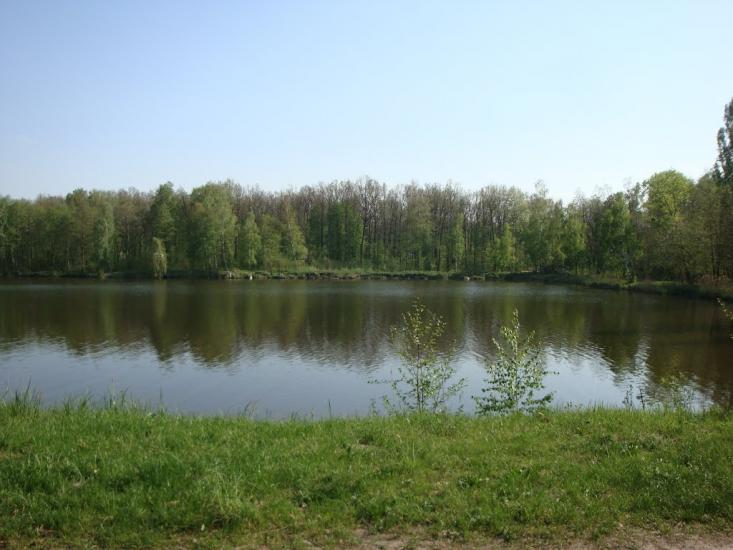 М'ясківка з panoramio.com - М'ясківка