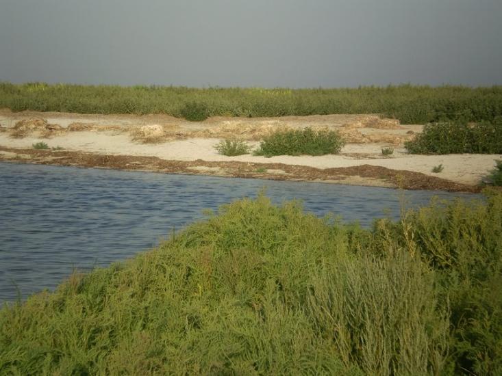 Хорли з panoramio.com - Хорлы