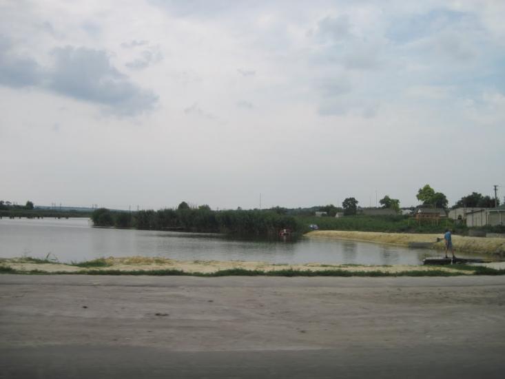 Павлиш з panoramio.com - Павлиш