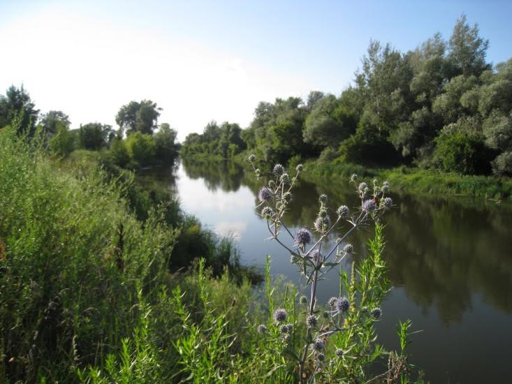 Синичине з panoramio.com - Synychyne