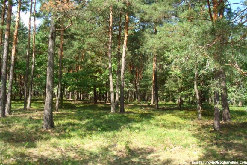 Сарни з panoramio.com - Сарни
