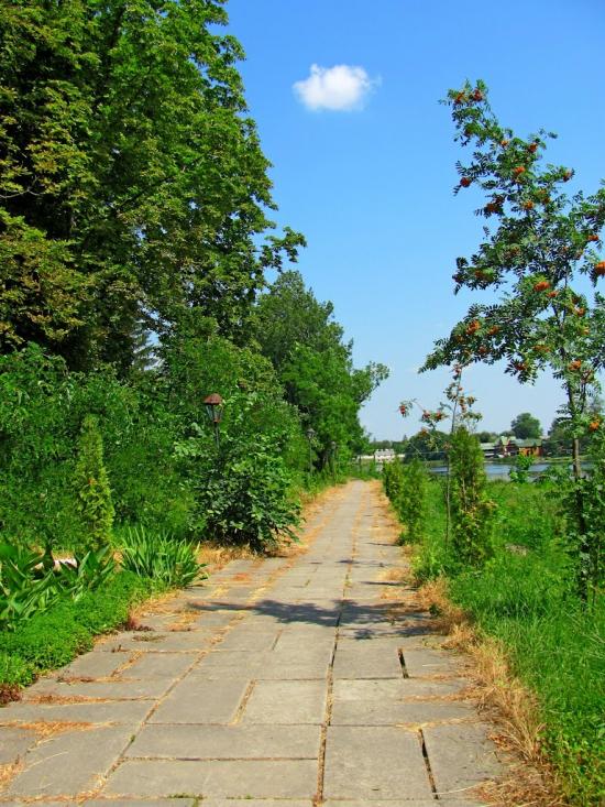 Млинів з panoramio.com - Mlyniv