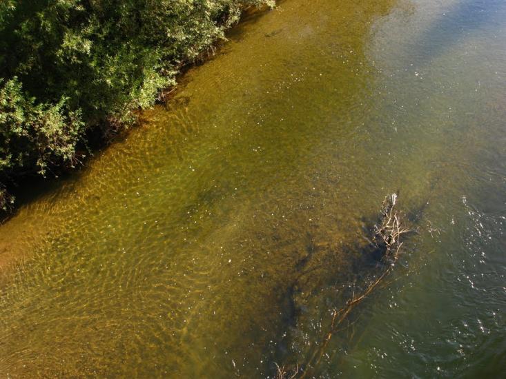 Засадки з panoramio.com - Засадки