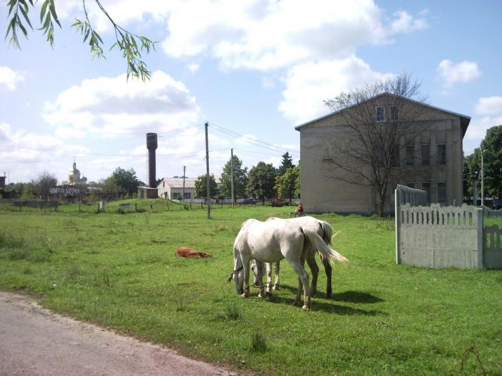 Добросин з panoramio.com - Добросин