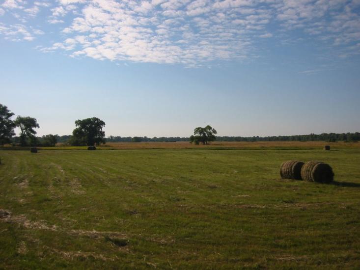 Вища Дубечня з panoramio.com - Высшая Дубечня
