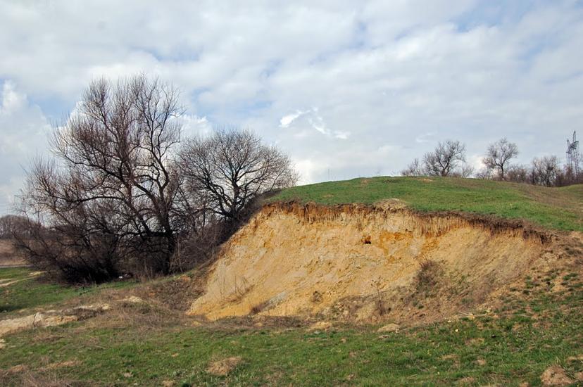 Птиче з panoramio.com - Птичье