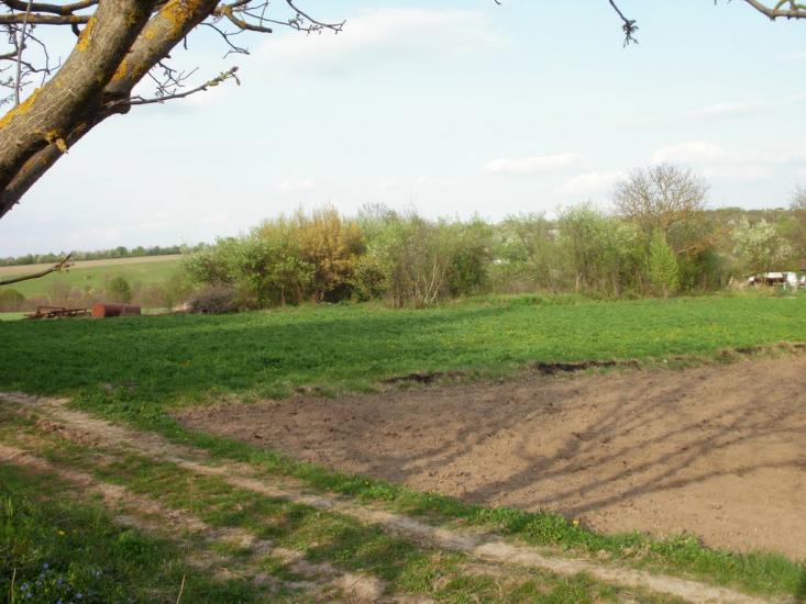 Любомирівка з panoramio.com - Любомировка