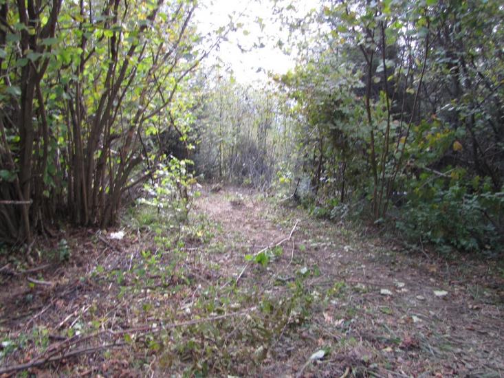 Опака з panoramio.com - Opaka