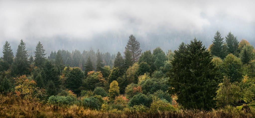 Річка з panoramio.com - Річка