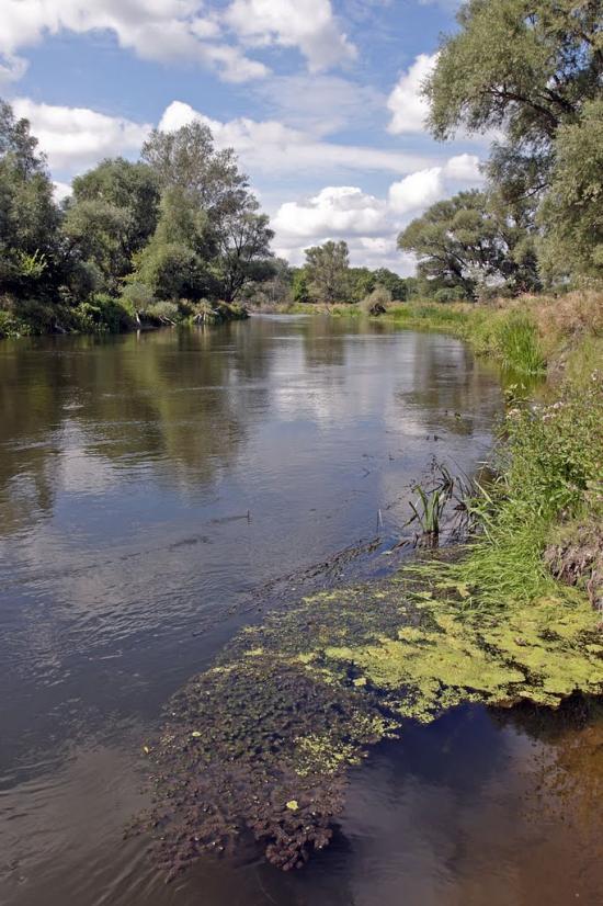 Морозівка з panoramio.com - Morozivka