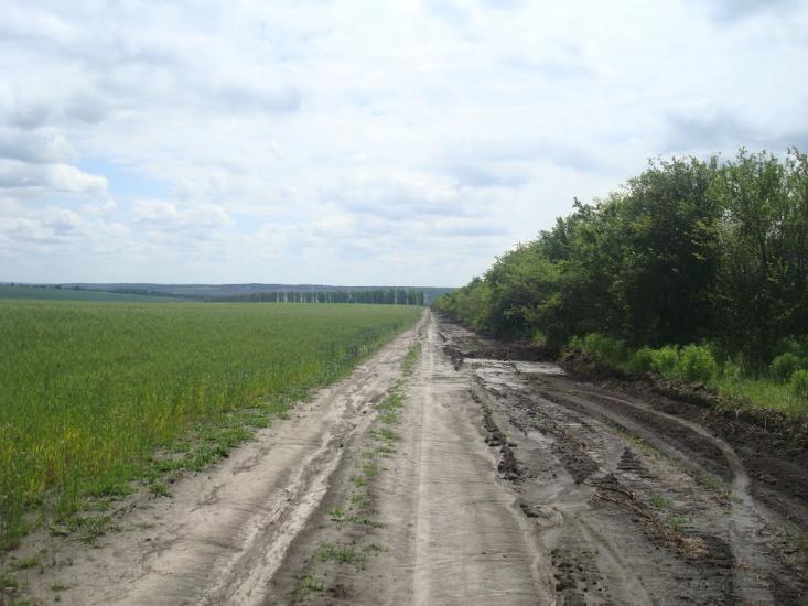 Давидківці з panoramio.com - Давыдковцы