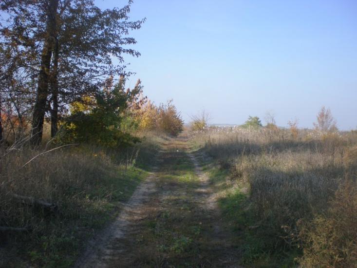 Великоолександрівка з panoramio.com - Великоолександрівка