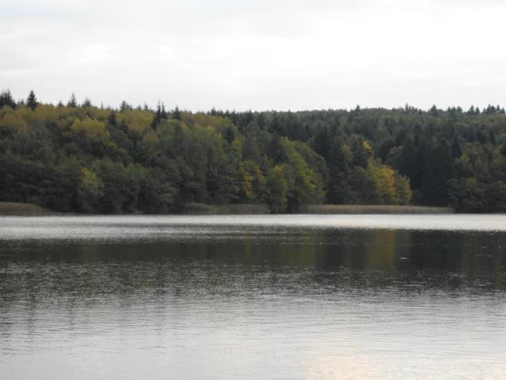 Доброгостів з panoramio.com - Dobrogostiv