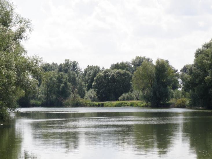 Івашківка з panoramio.com - Івашківка