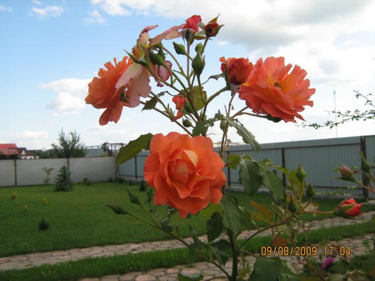 Турійськ з panoramio.com - Турийск