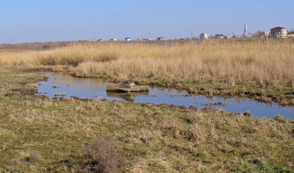 Нова Долина з panoramio.com - Нова Долина
