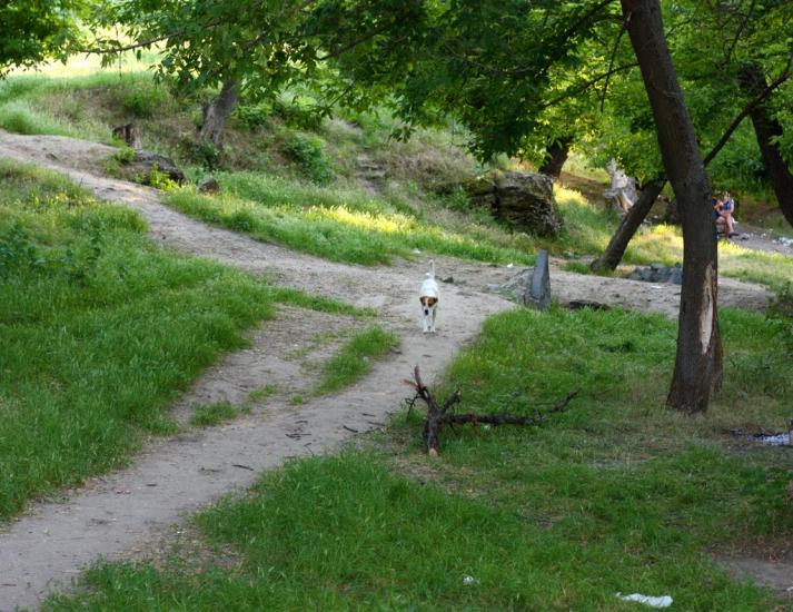 Терпіння з panoramio.com - Терпенье