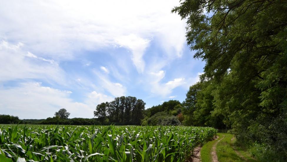 Сапожине з panoramio.com - Сапожино