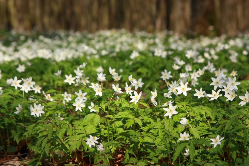 Жуличі з panoramio.com - Жуличі