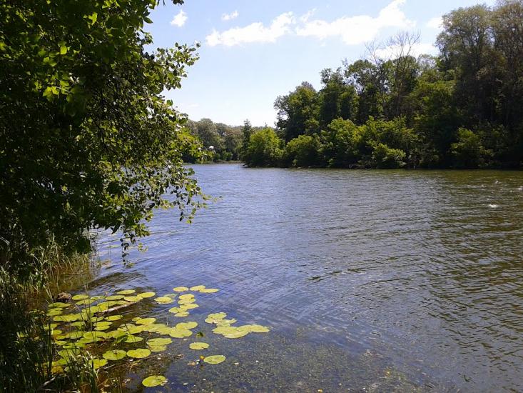 Букине з panoramio.com - Bukyne