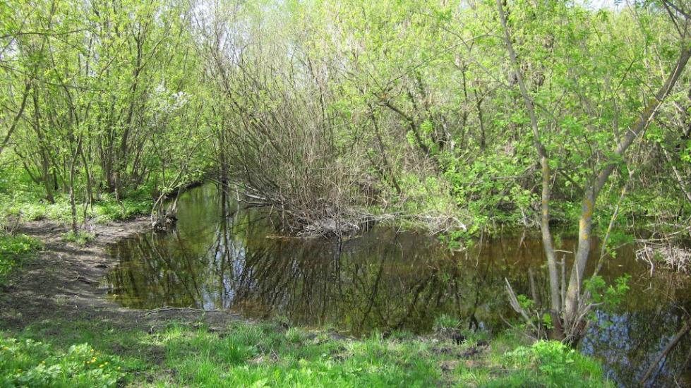 Сиваш з panoramio.com - Сиваш