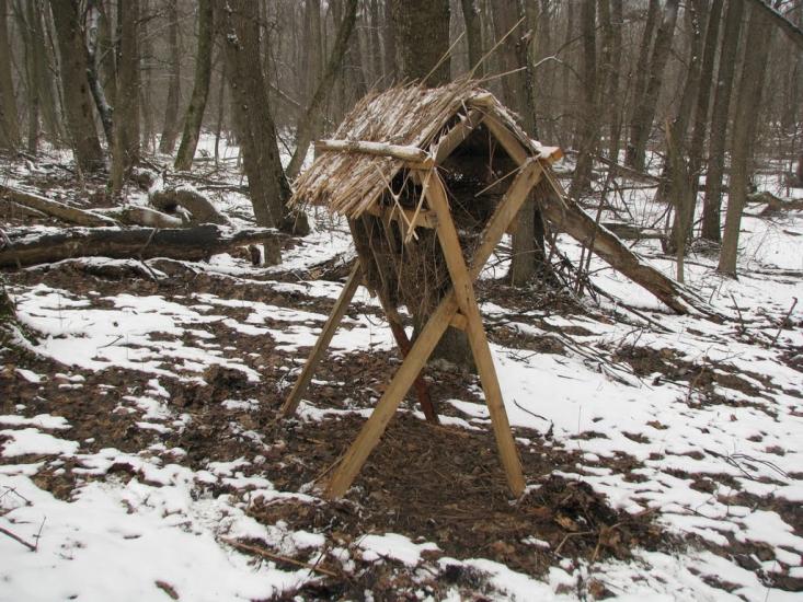 Підлісне з panoramio.com - Pidlisne